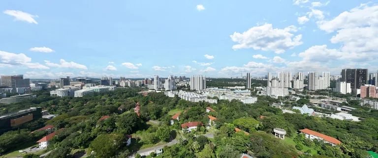 Photograph: the developer&rsquo;s view north from about 50 metres above the site, over the trees and houses of the Wessex estate towards Holland Village and Buona Vista